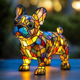 Ragyogó Francia Bulldog